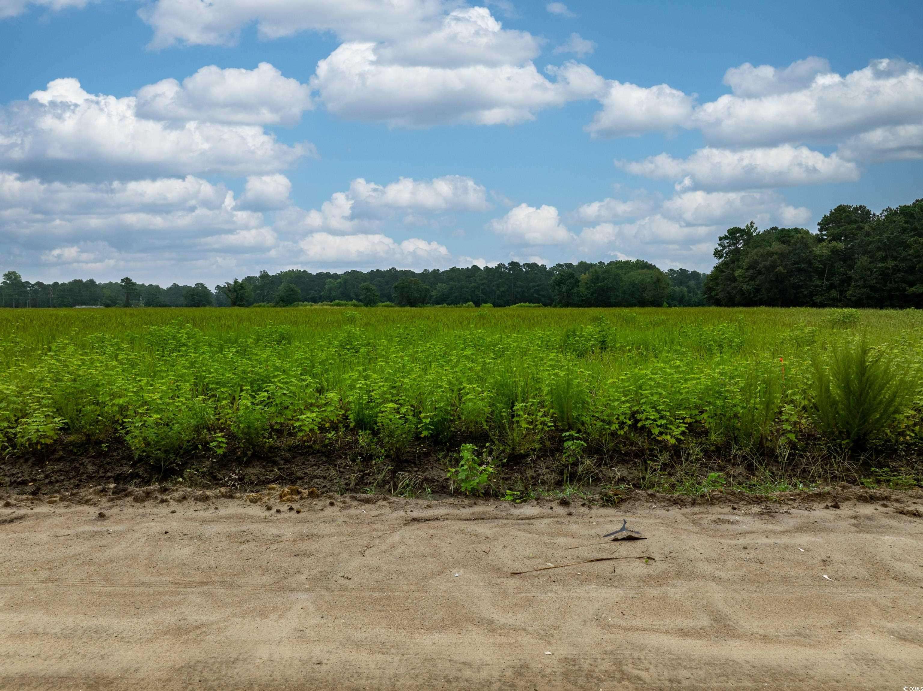 Loris, SC 29569,TBD LOT 4 Tansy Rd.