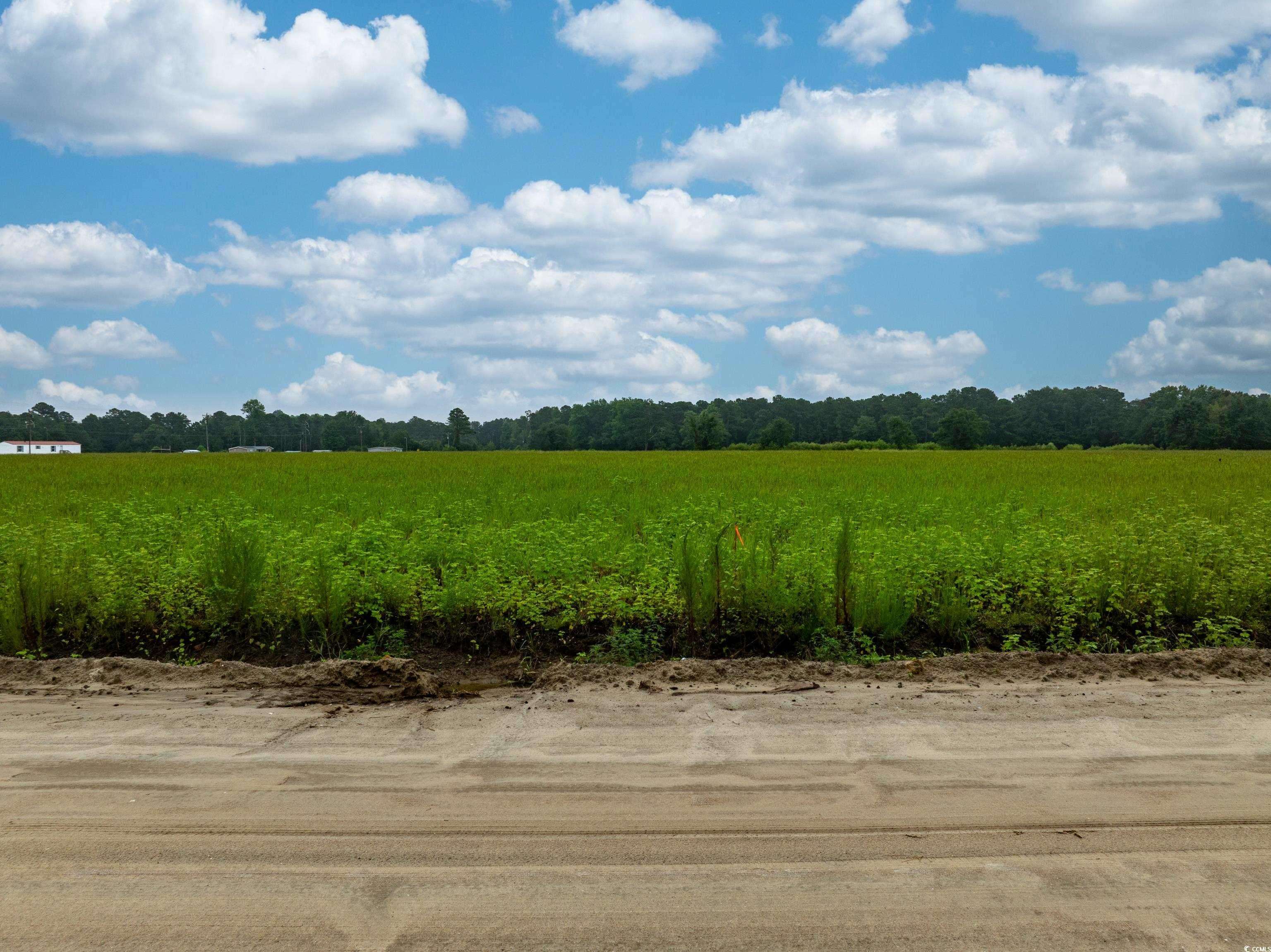 Loris, SC 29569,TBD LOT 8 Tansy Rd.