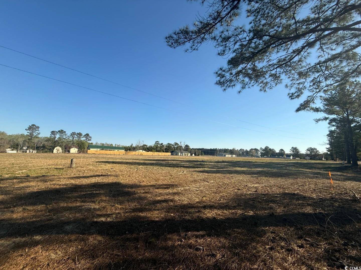 Latta, SC 29565,TBD Janice Ct