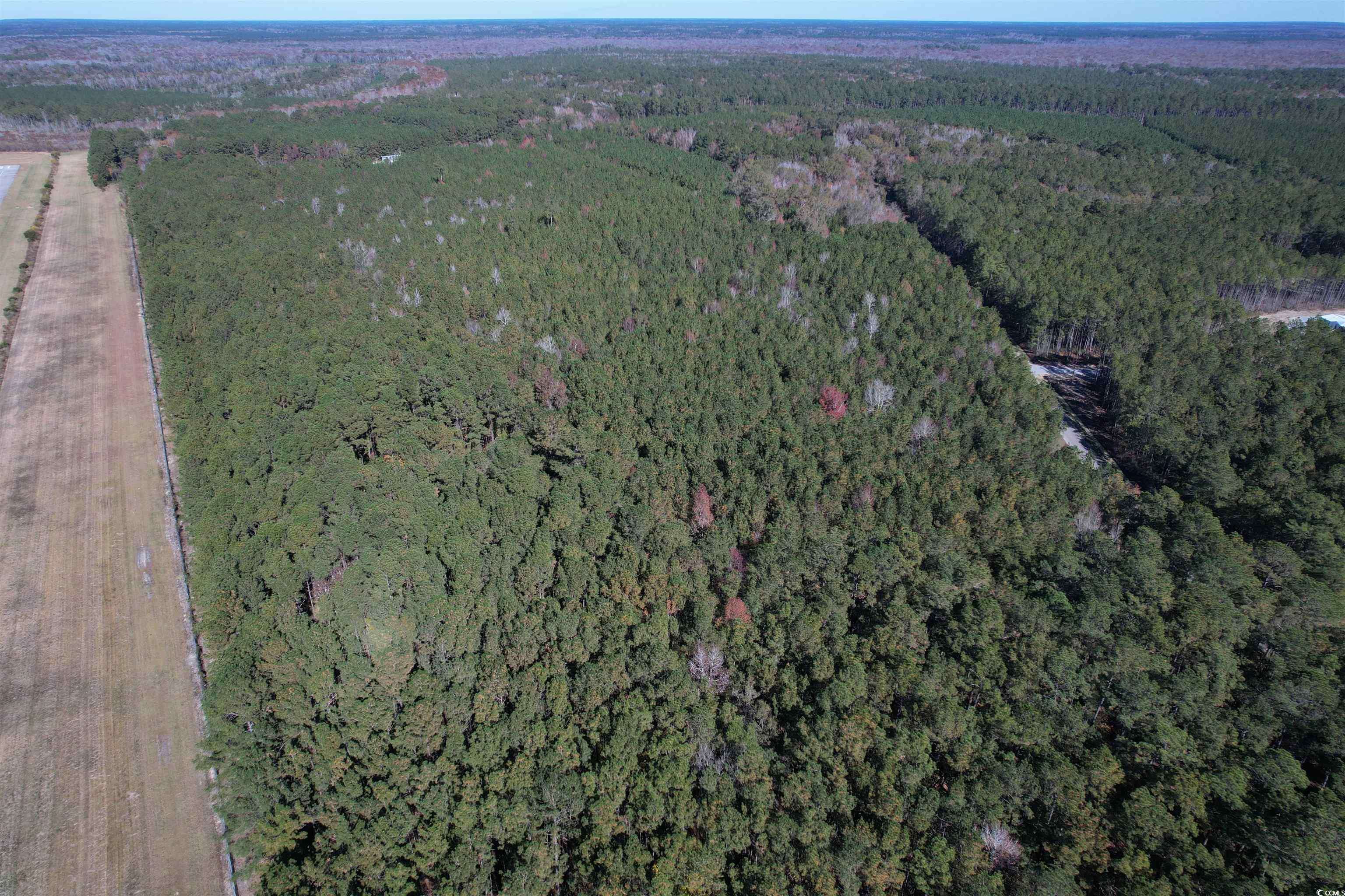 Andrews, SC 29510,7.90 Acres-TBD Puncheon Creek Dr.