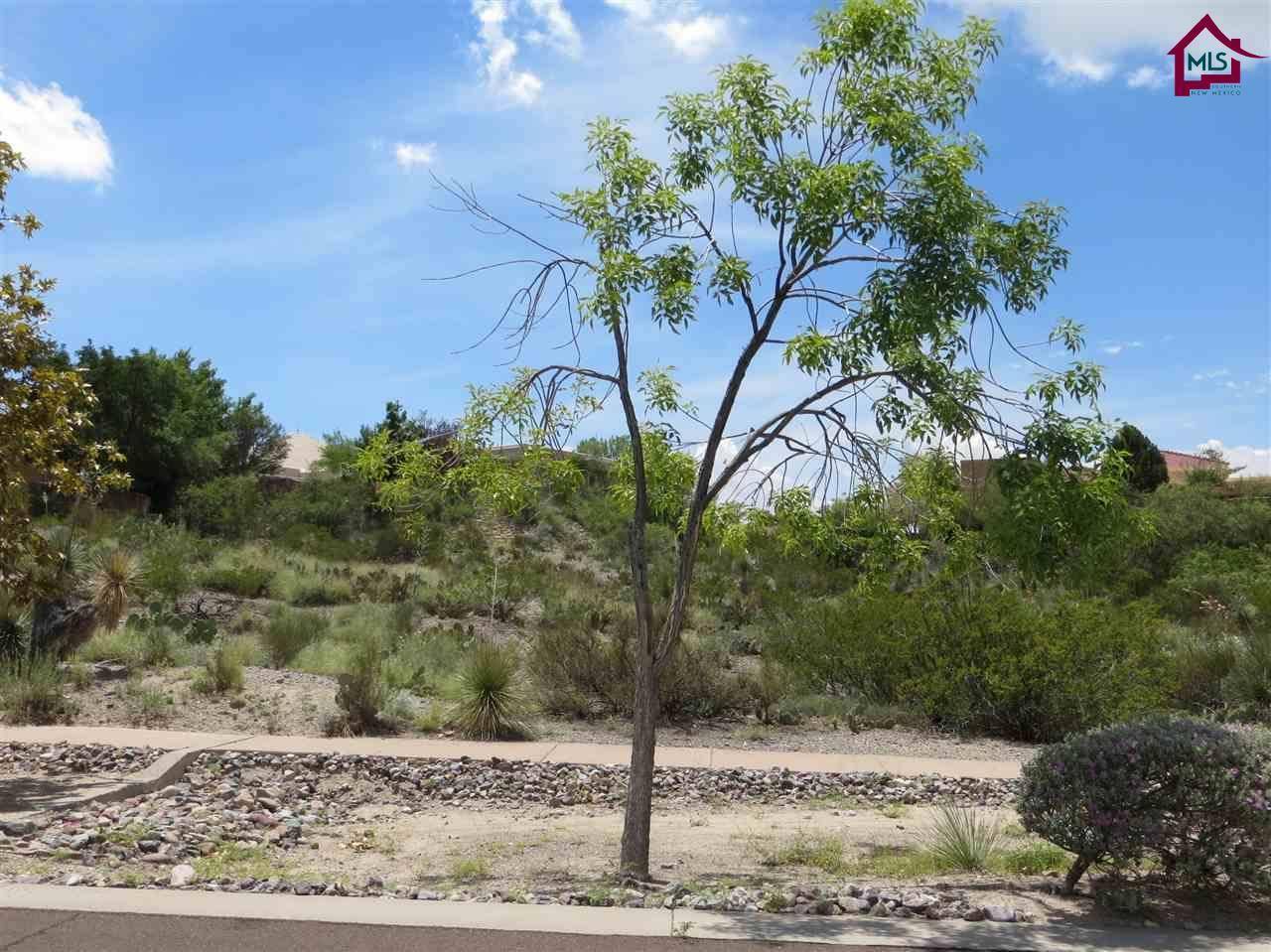 Las Cruces, NM 88011,751 Loma Verde LN