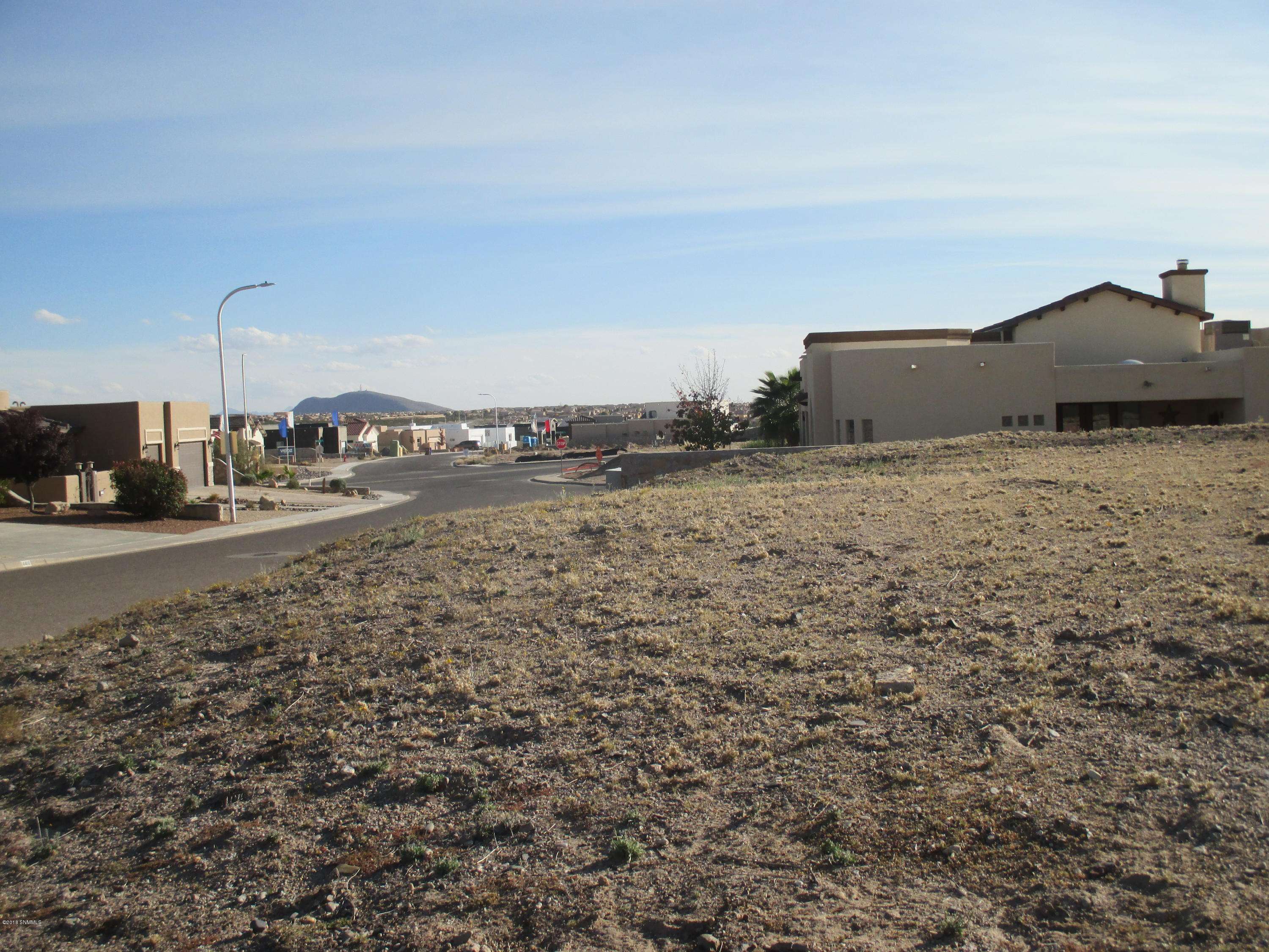 Las Cruces, NM 88011,4276 Golden Sage CT