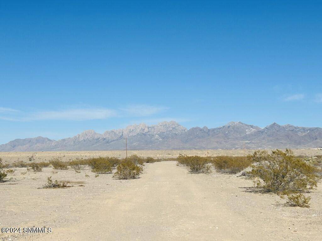 Las Cruces, NM 88011,4365 RC Gorman LOOP