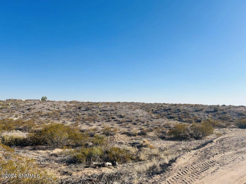 Las Cruces, NM 88011,4332 RC Gorman LOOP