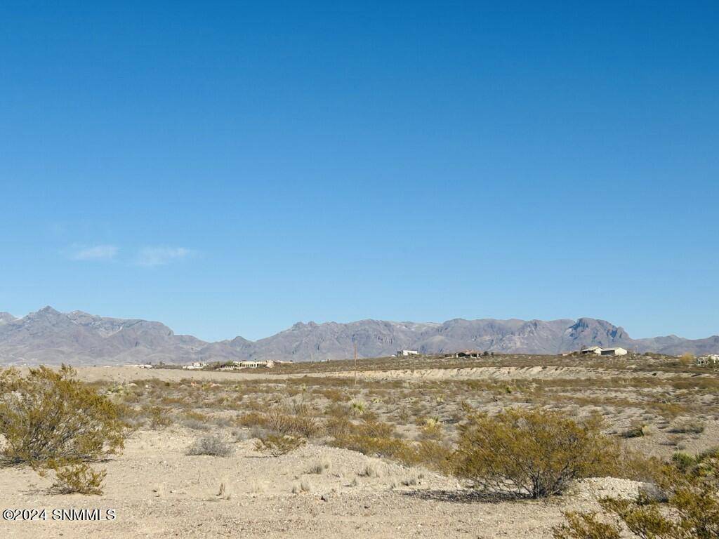 Las Cruces, NM 88011,4320 RC Gorman LOOP