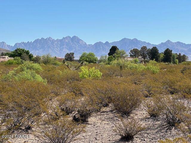 Las Cruces, NM 88011,TBD Ocotillo RD