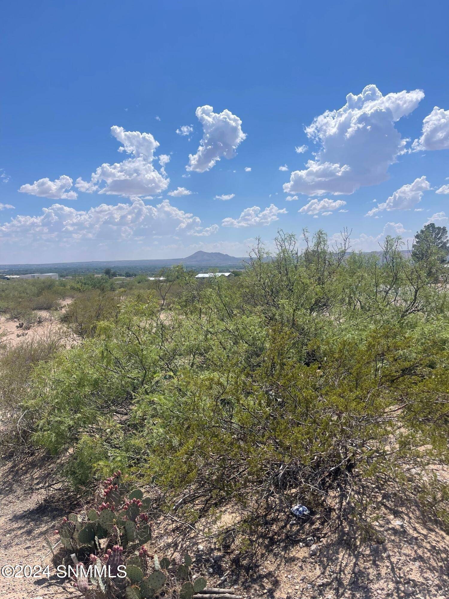 Las Cruces, NM 88012,1650 Westmoreland AVE