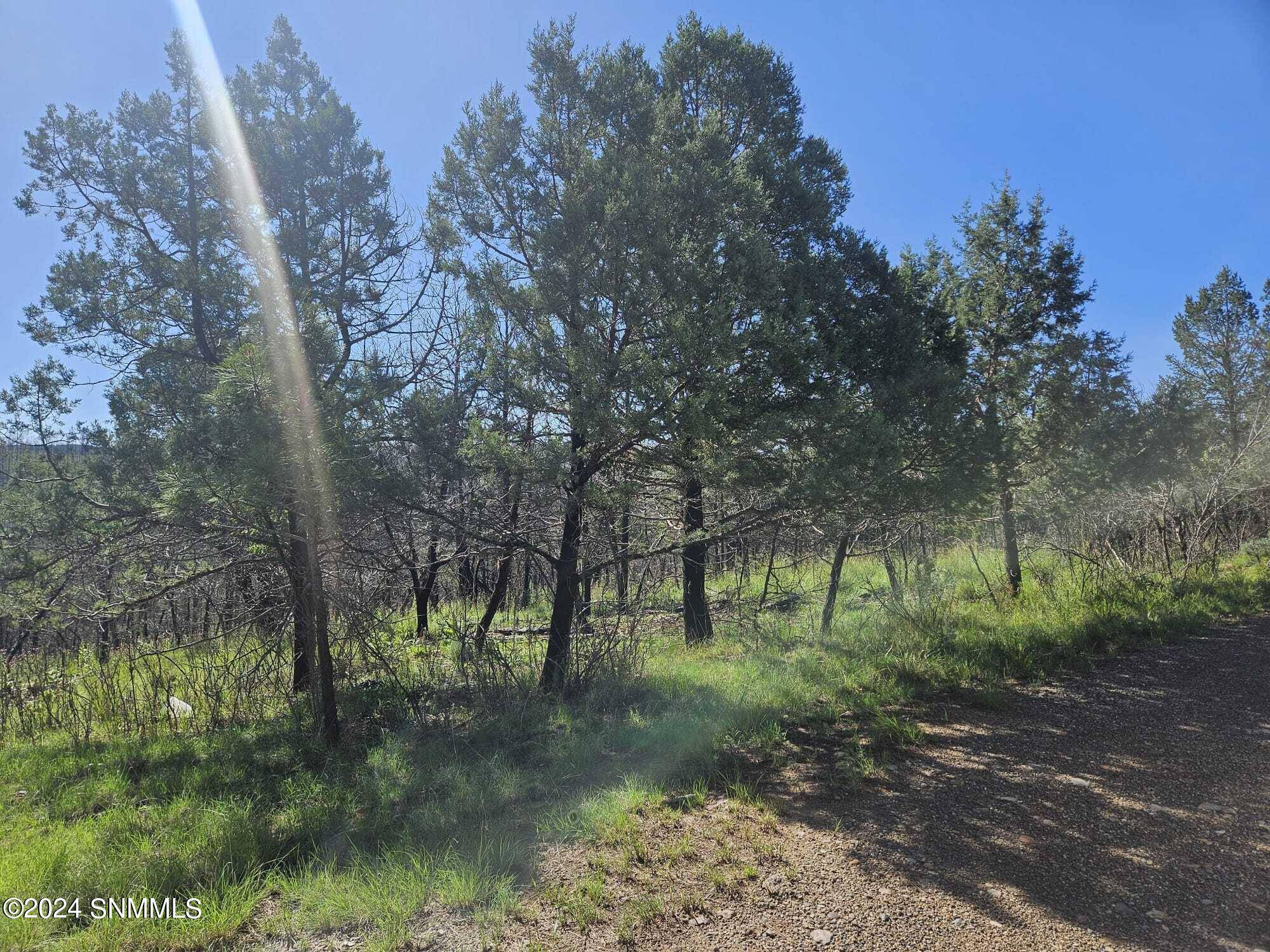 Ruidoso, NM 88345,TBD Homestead Heights Block 5 DR #5A