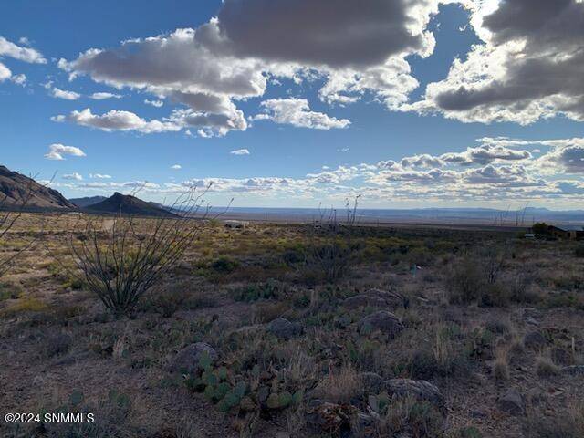 Las Cruces, NM 88011,773 Pena Blanca LOOP