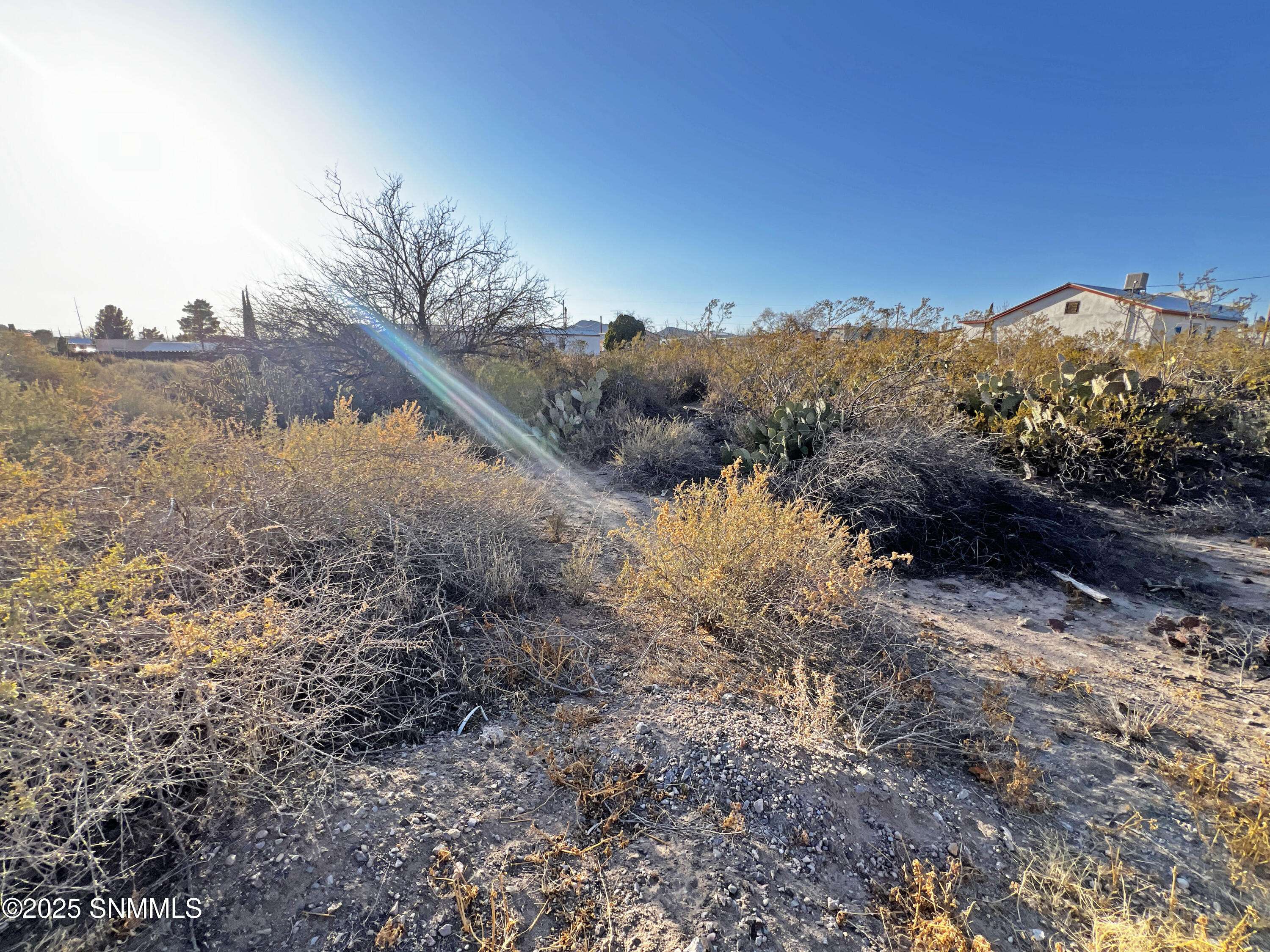 Truth Or Consequences, NM 87901,507 N Maple ST