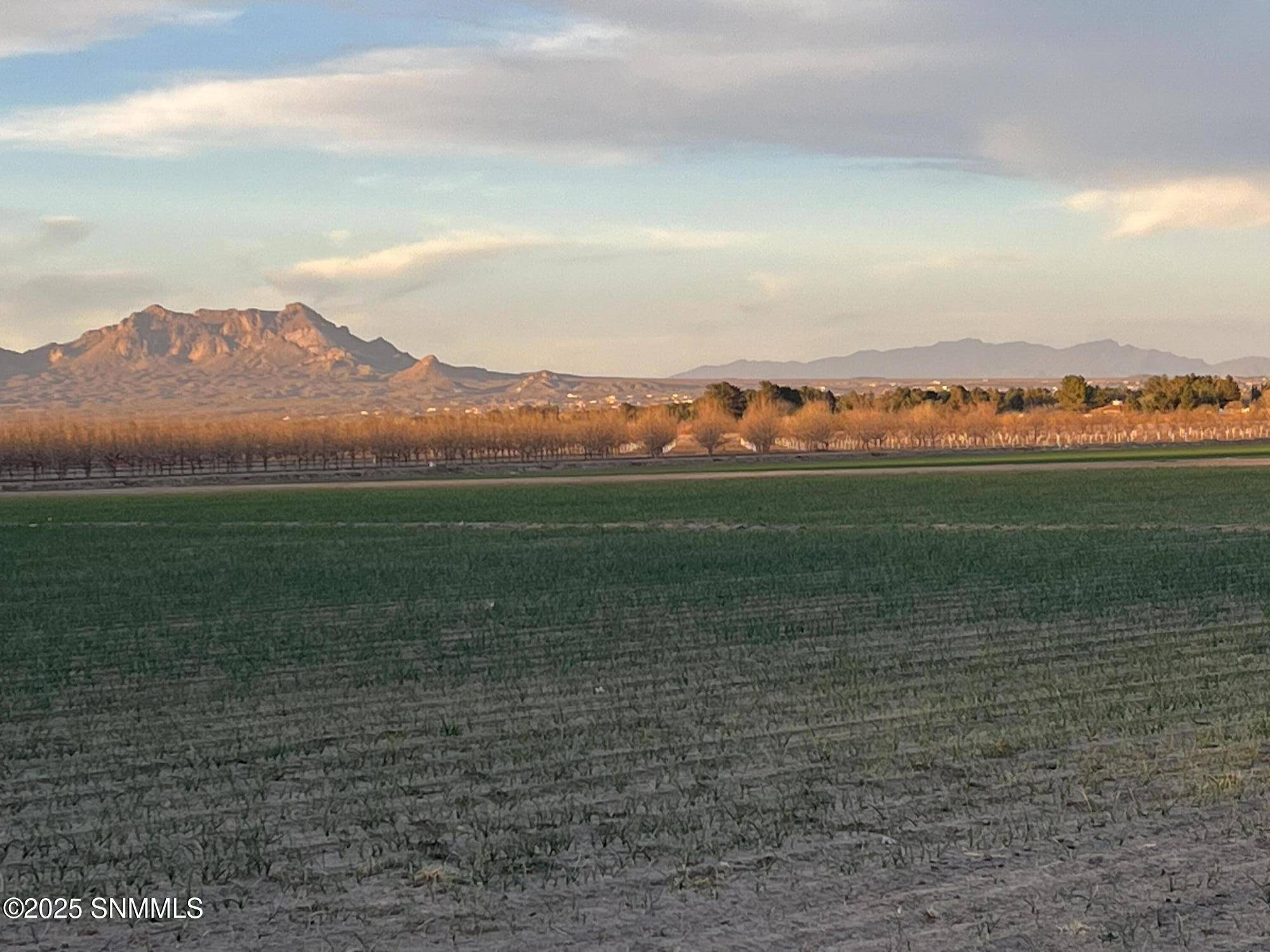 Las Cruces, NM 88007,4330 Shalem Colony