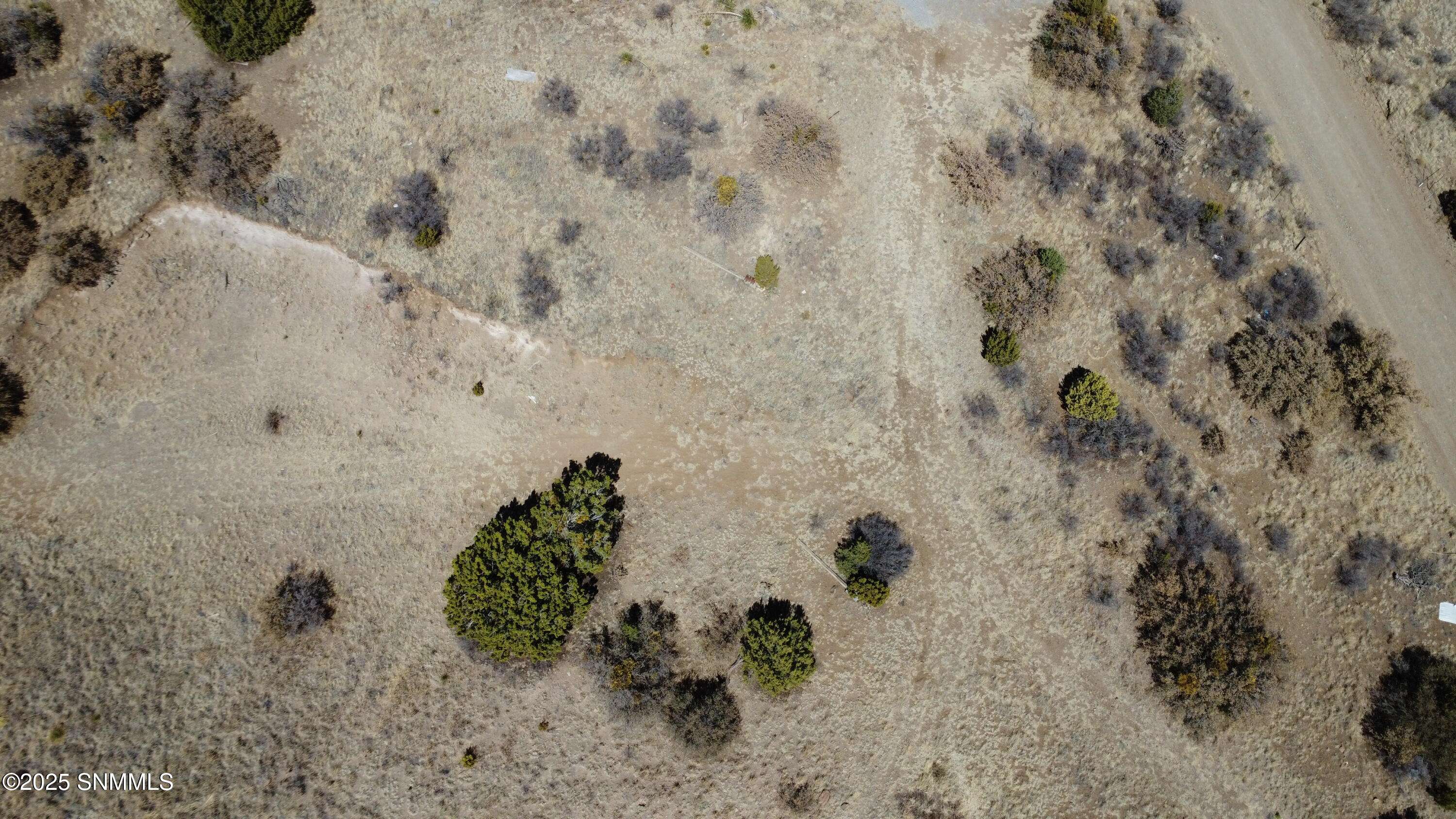 Arenas Valley, NM 88022,15 Twin Sister Creek RD
