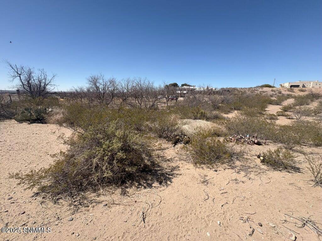 Las Cruces, NM 88011,4131 Johnson LN