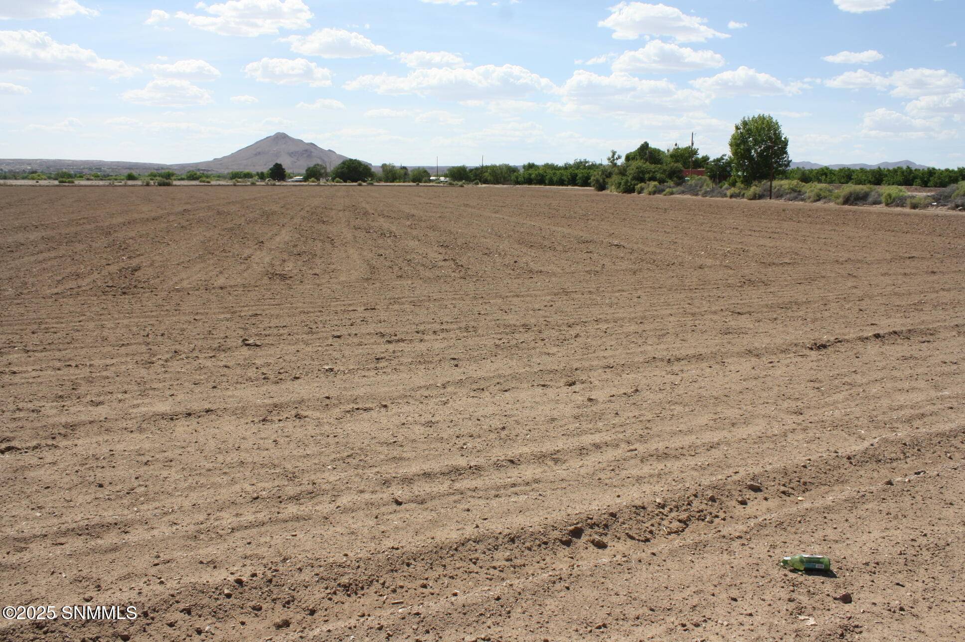 Las Cruces, NM 88007,3505 Bales Road