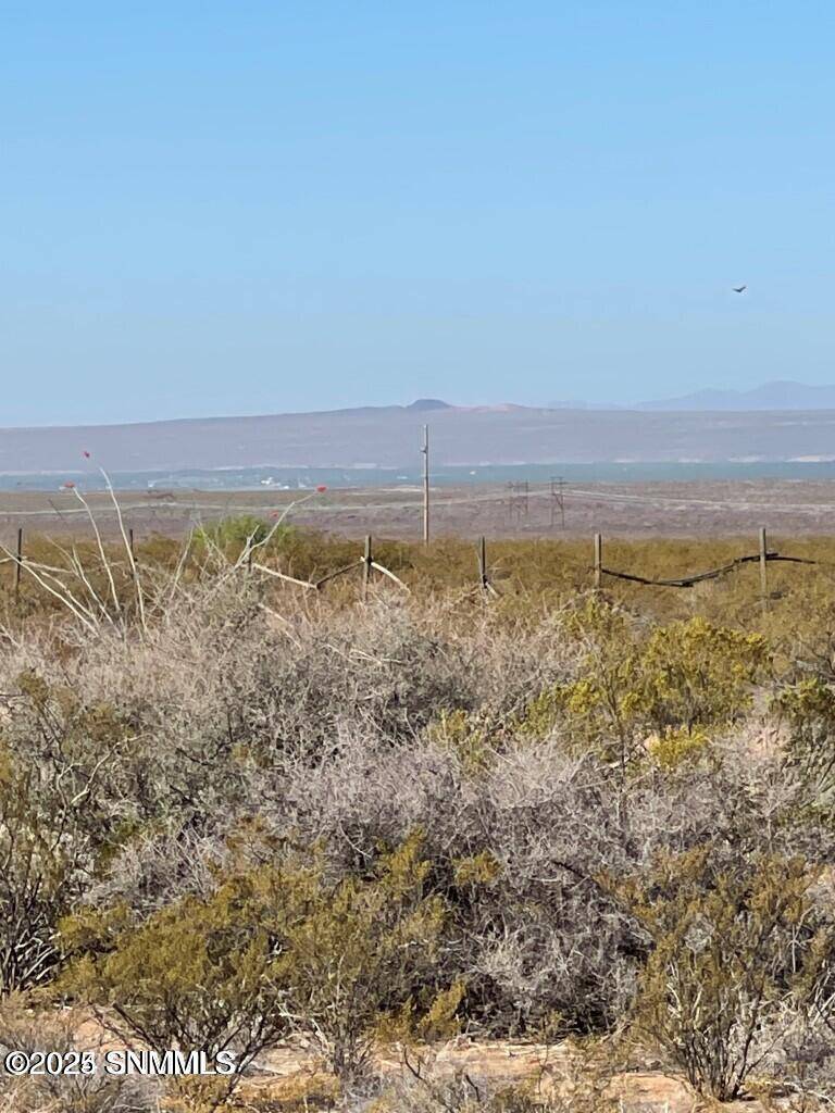 Las Cruces, NM 88011,11000 Canyon Vista RD