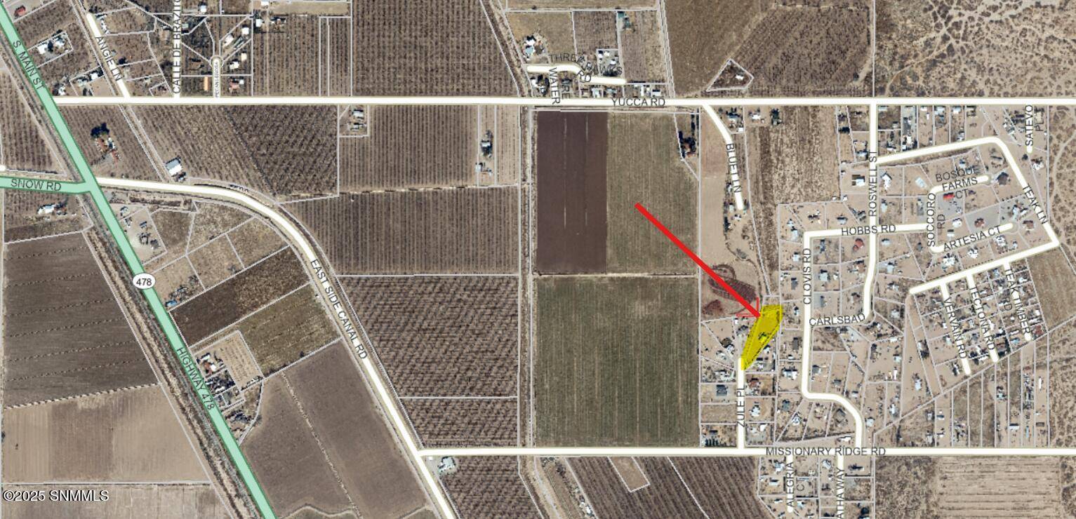 Mesquite, NM 88048,9451 Zule PL