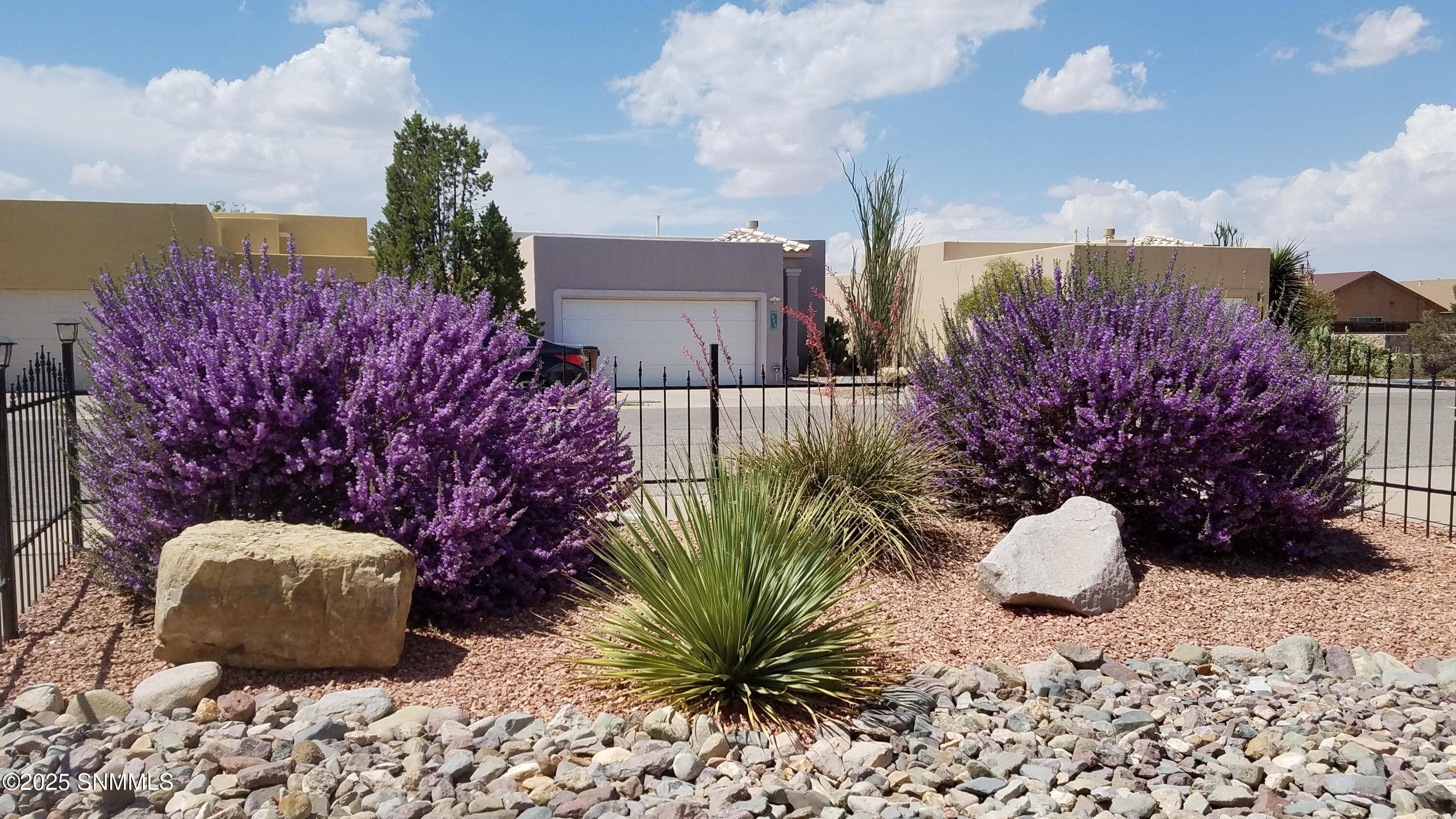 Las Cruces, NM 88005,891 Chateau DR