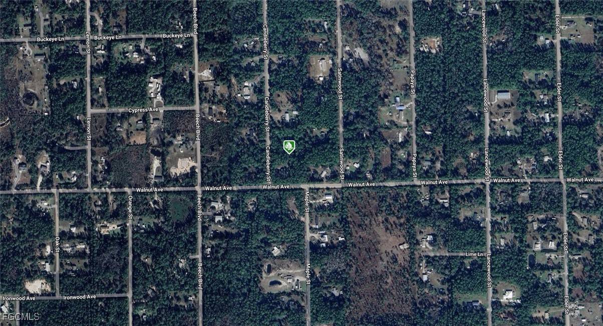 Bunnell, FL 32110,1935 Candleberry ST