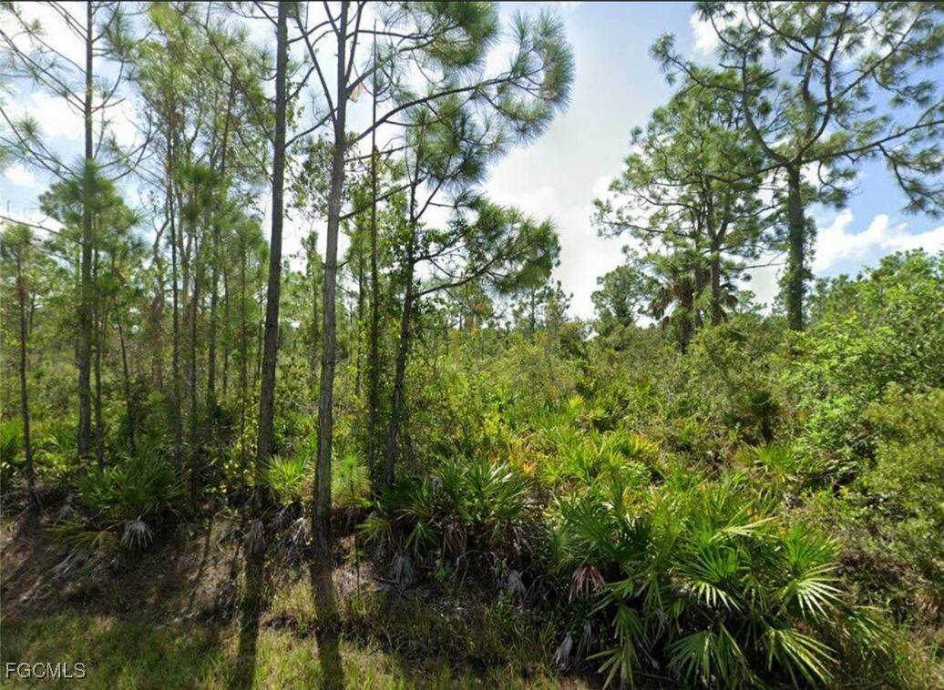 Punta Gorda, FL 33955,12162 Narango DR