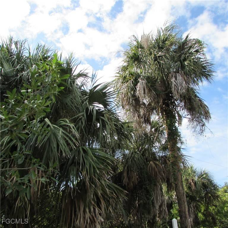 St James City, FL 33956,3401 Castile RD