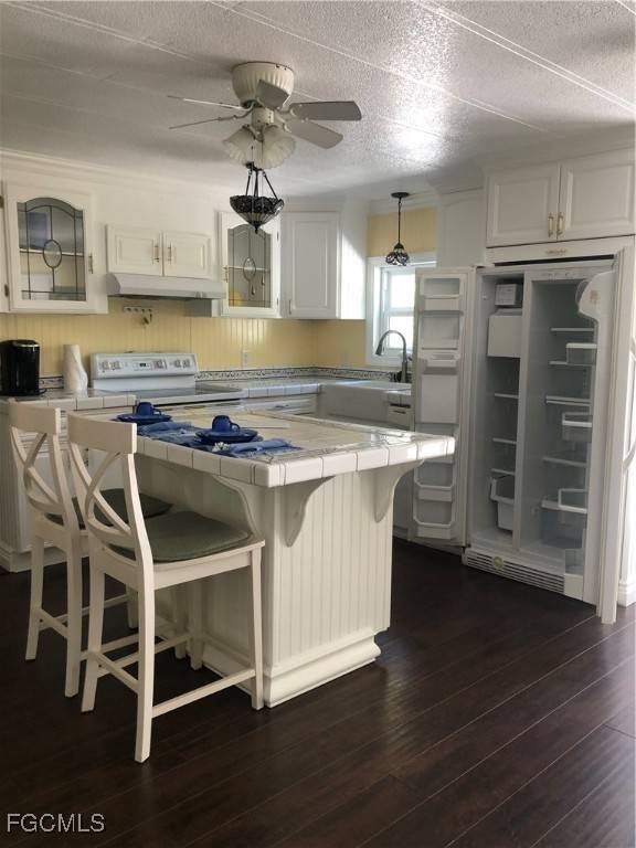 North Fort Myers, FL 33917,526 Pine Tree CT