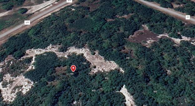 Lake Placid, FL 33852,1181 Ebbtide AVE