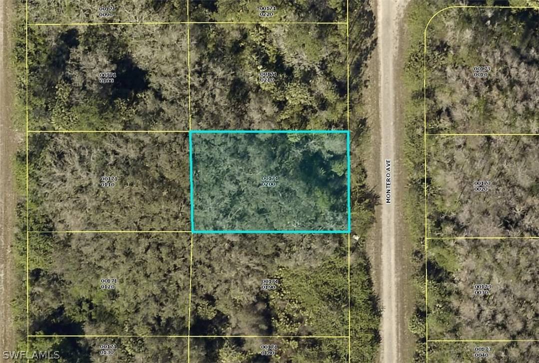 Lehigh Acres, FL 33972,1917 Montero AVE