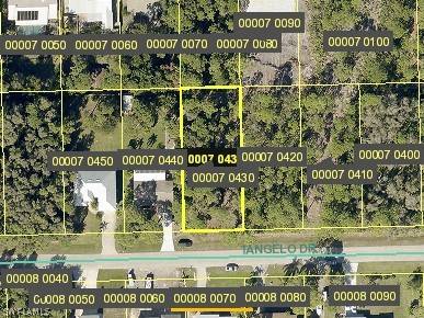 Other, FL 33956,3710 Tangelo DR