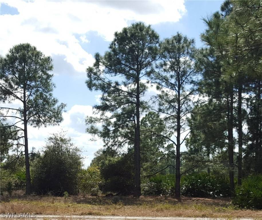 Labelle, FL 33935,7547 15th PL