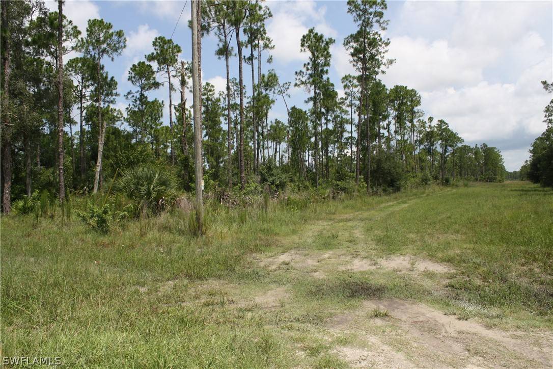 Other, FL 33440,2401 Panama AVE