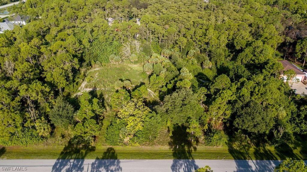 Bonita Springs, FL 34135,24742 Rodas DR