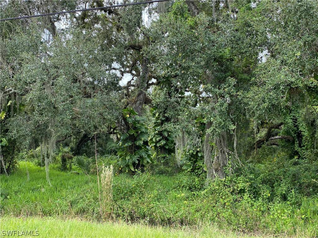 Labelle, FL 33935,N State Rd 29