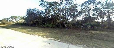 Labelle, FL 33935,770 Shark LN