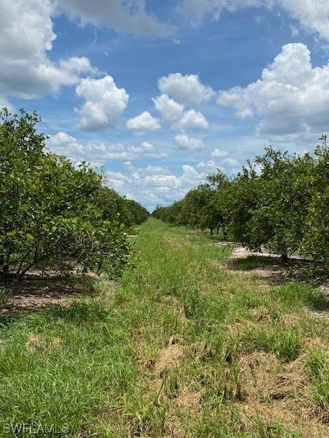 Labelle, FL 33935,Lot 5 7th RD