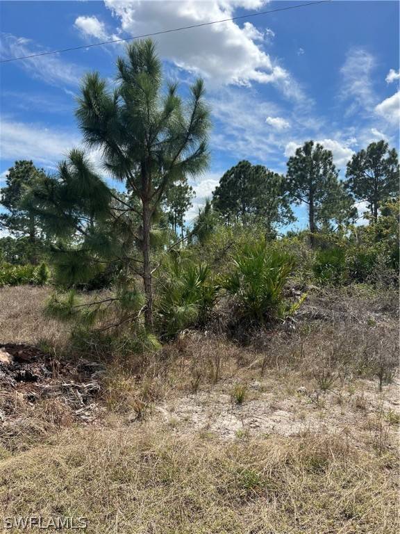 Other, FL 33935,7943 15th PL