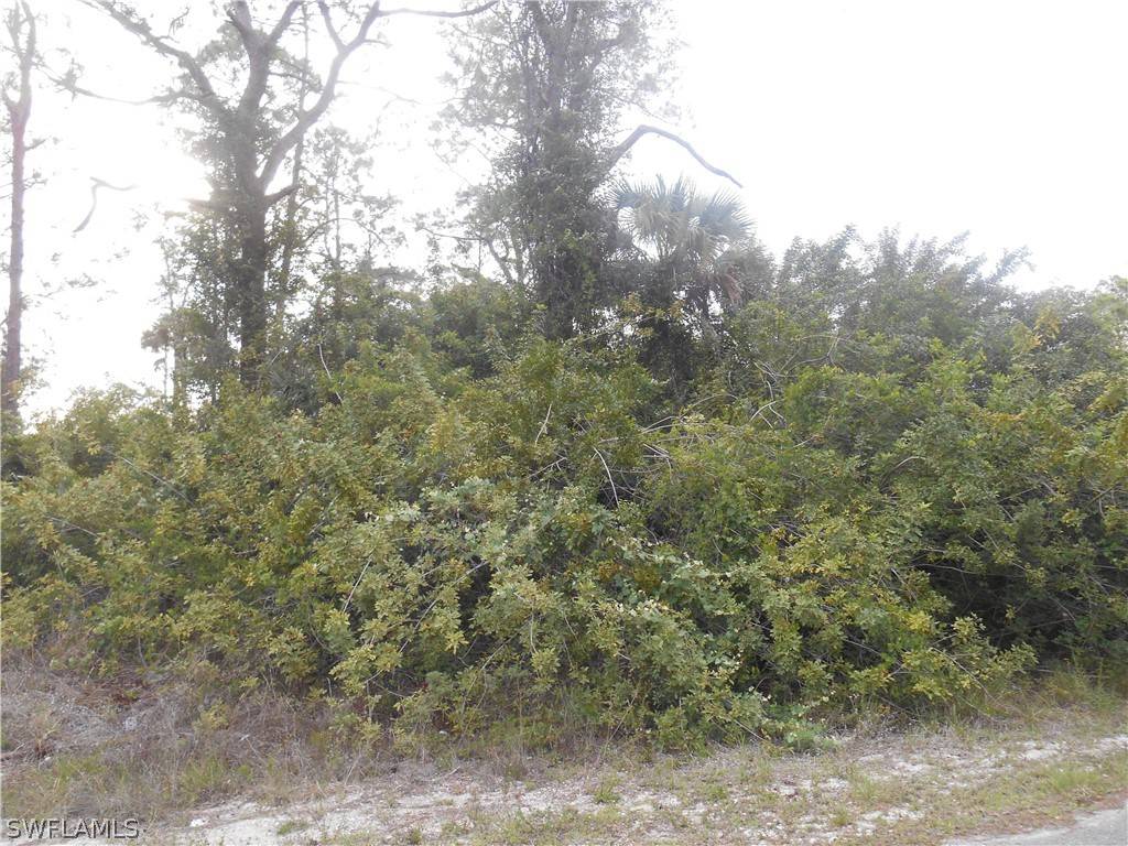 Lehigh Acres, FL 33972,1515 Palmetto AVE