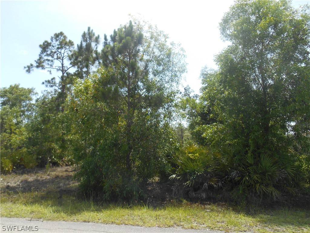 Lehigh Acres, FL 33936,203 Wellington AVE