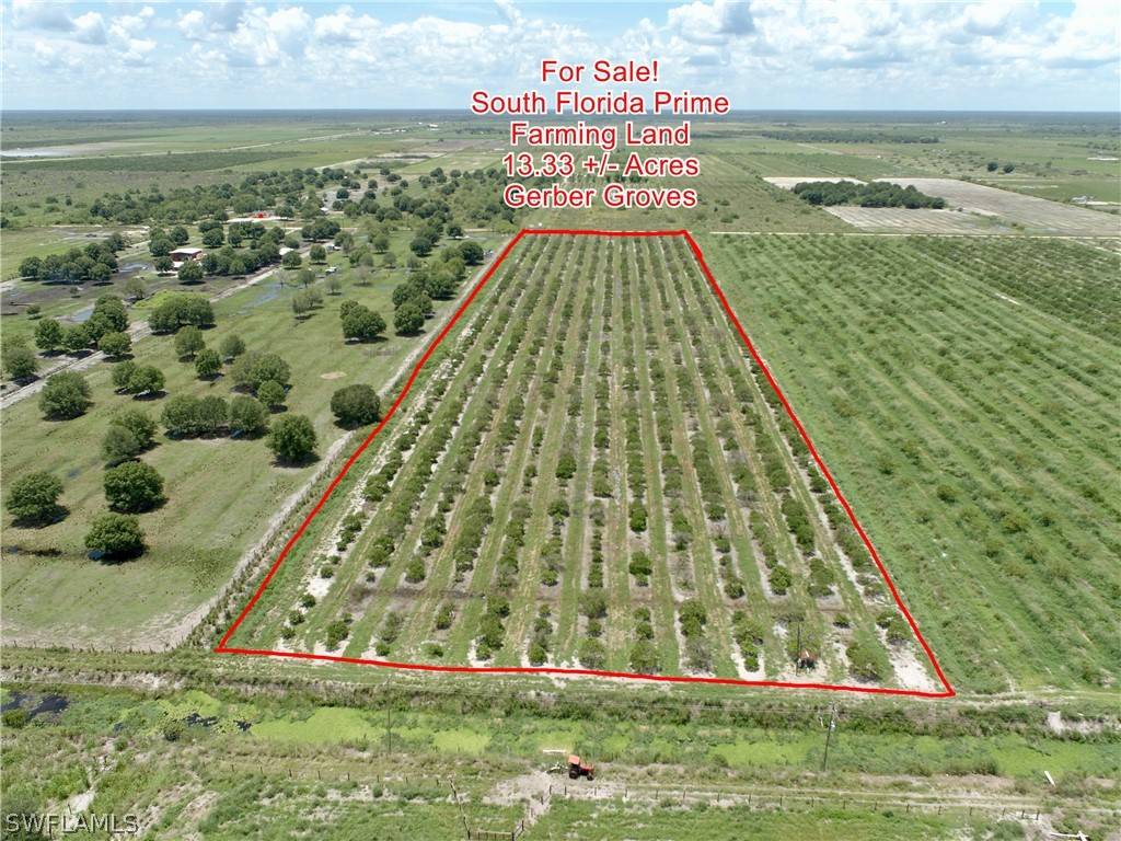 Labelle, FL 33935,Lot 12 4th Road Sears RD