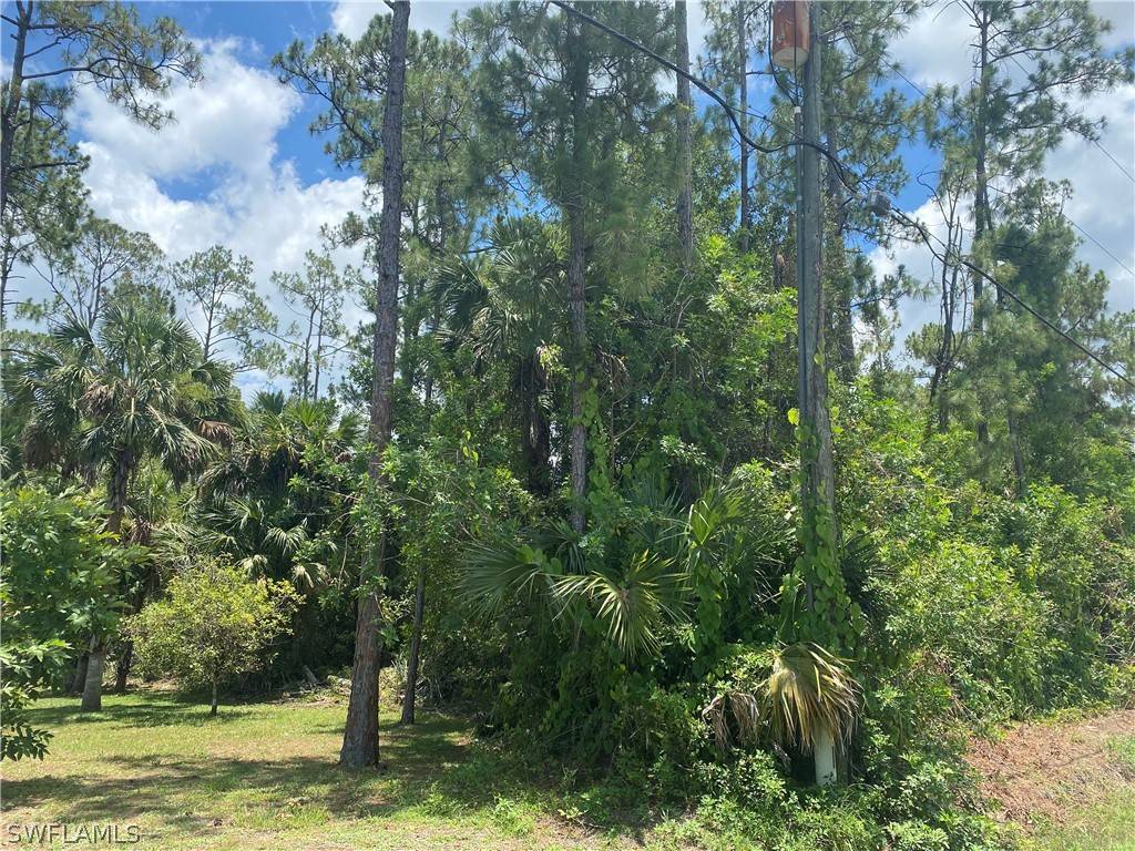 Naples, FL 34120,8th ST NE