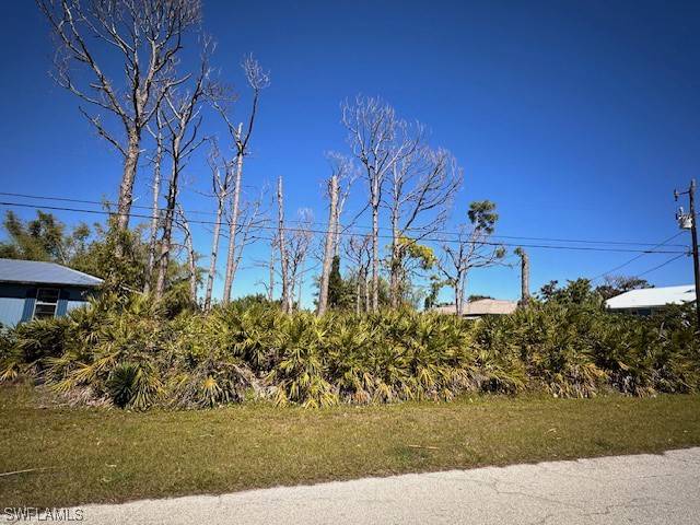 St James City, FL 33956,3854 Papaya ST