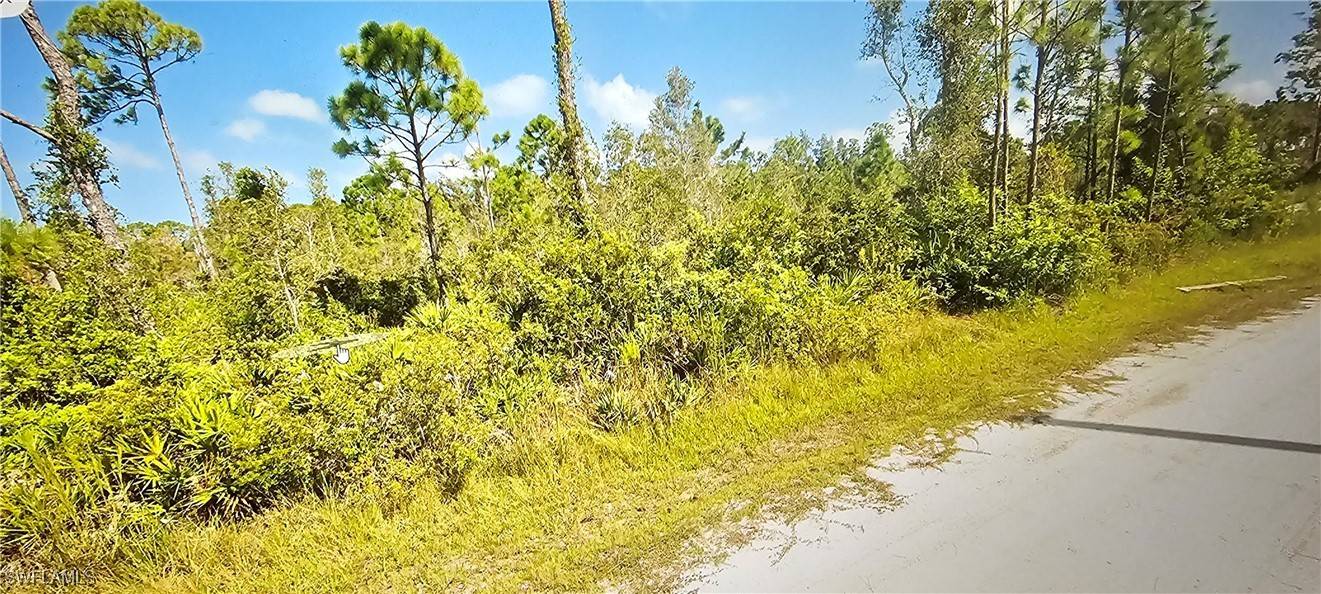 Punta Gorda, FL 33955,12147 Platano DR