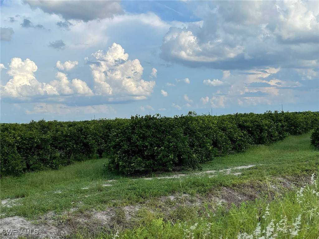 Labelle, FL 33935,6th RD