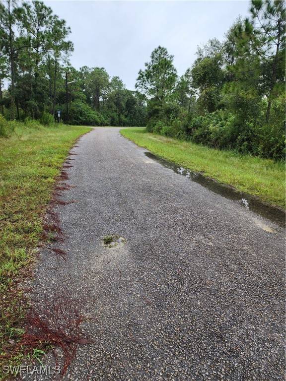 Lehigh Acres, FL 33972,1951 Roderick LN