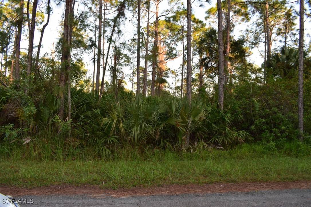 Lehigh Acres, FL 33920,2310 Monroe AVE