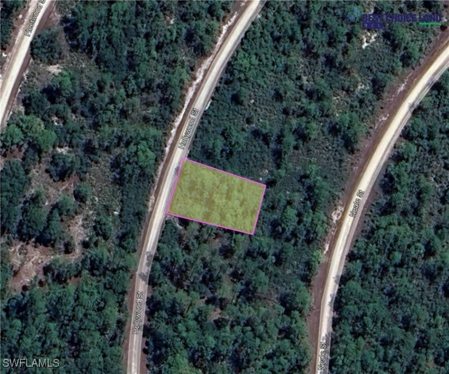 Lake Placid, FL 33852,815 Hollywood ST