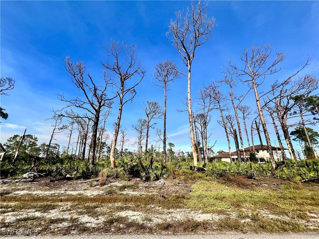 Placida, FL 33946,6 Adrift CT