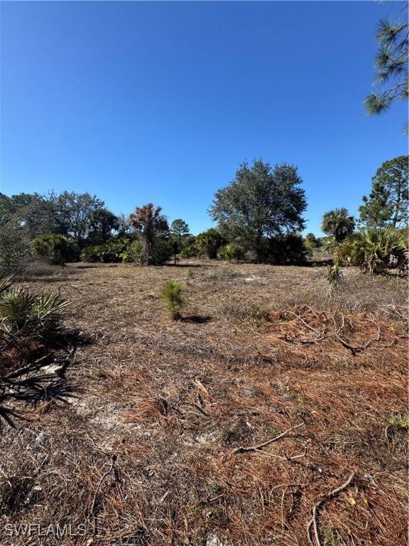 Clewiston, FL 33440,855 S Cabbage Palm ST