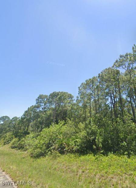 Labelle, FL 33935,849 Morning LN