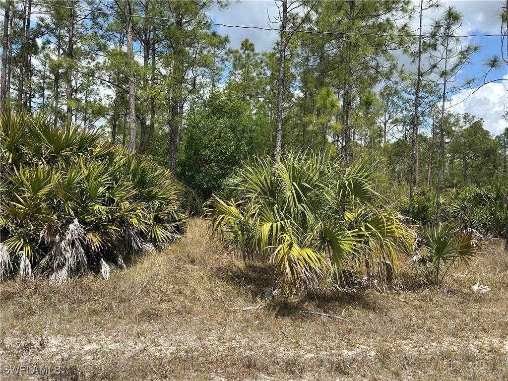 Lehigh Acres, FL 33972,1847 Lindenwood DR
