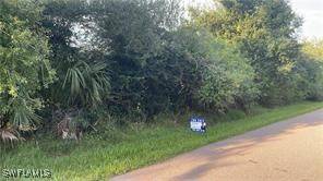 Port Charlotte, FL 33952,22452 Cezane AVE